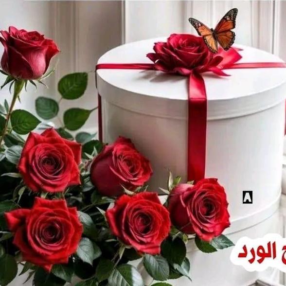 Naji Odah