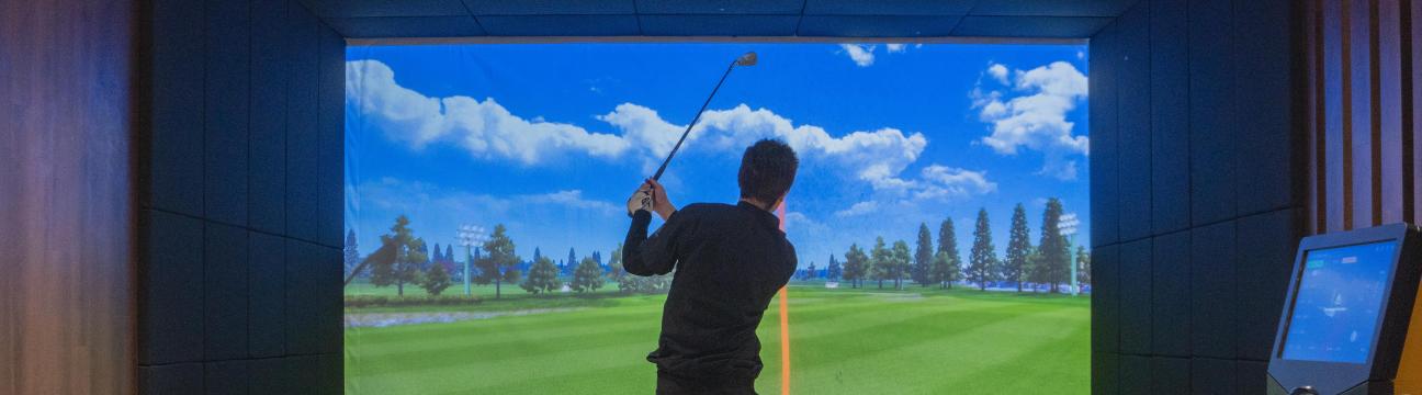 Play Golf VX
